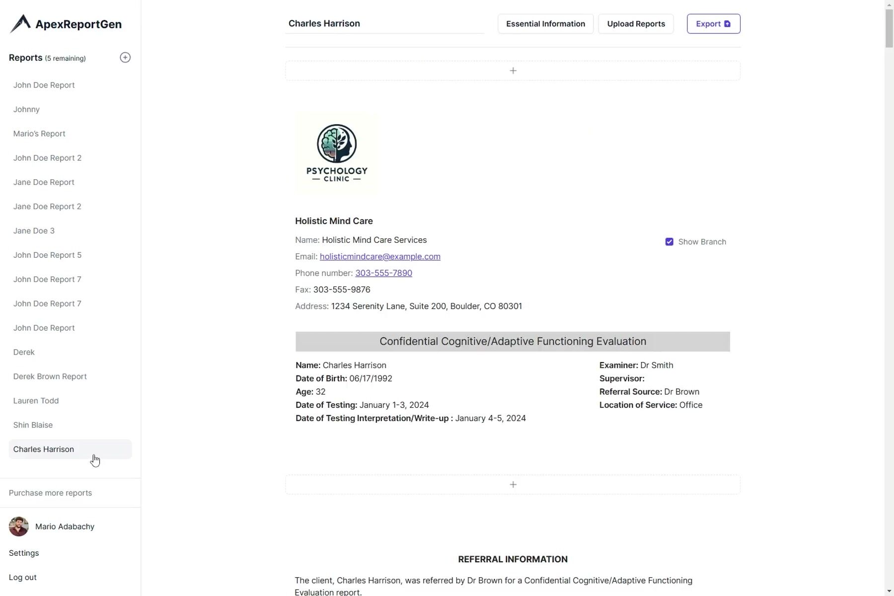 Apex Report Generator product demo
